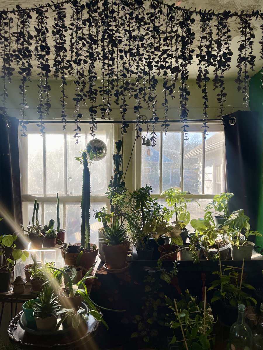 izzy v 🌙 tweet media