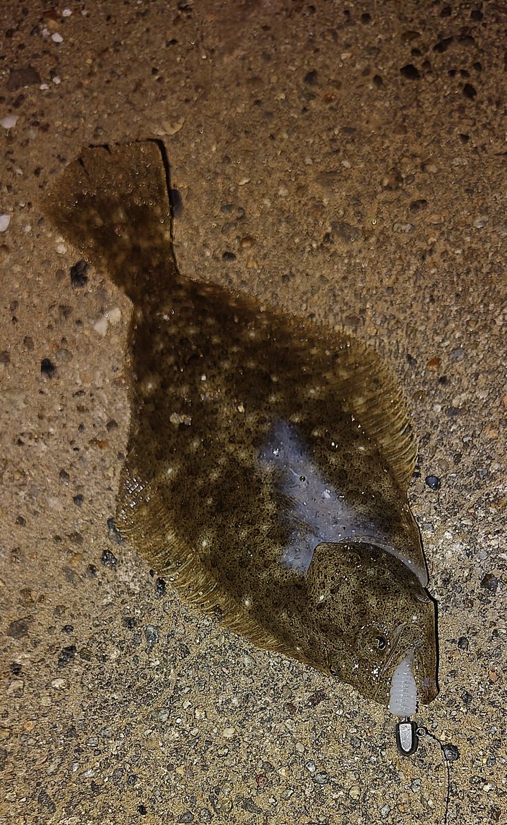 （10月VIP 15%off中） Akiです❣1006 Exceed