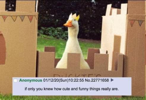 CryptoParadyme's tweet image. 