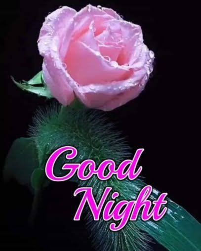 <a href="/adarsh_muslim/">Adarsh Muslim</a> <a href="/Munaf_Ali/">Munaf</a> <a href="/MohdMuzzammilK/">Muzzammil KhanⓂ️ مزمل خان</a> <a href="/DrNaveedAhamed1/">Dr.Naveed Ahamed 2.0</a> <a href="/SrRuhil/">Surender Ruhil</a> <a href="/Jameelsayyed/">Jameel Sayyed</a> <a href="/shamshad031463/">SHAMSHAD</a> <a href="/shadabloin/">Shadab Khan</a> <a href="/Nikki_Afroz/">💫Nikki💫</a> <a href="/ShawazK39574555/">Mrs.Shawaz Khan. #Shaaz369 ~शाज़</a> <a href="/SalariFa/">FatimaSalari 🇮🇪🇵🇸🇻🇪</a> <a href="/Zainab___786/">زیــــــــــZ𝗮𝗶𝗻𝗮𝗯ـــــــــنب</a> <a href="/Ridaa_Abbaas/">Rida Abbas</a> <a href="/RuhiKadree/">Ruhi Kadree</a> <a href="/Za_ira__/">🍁GHAZAL🍁</a> <a href="/arunruby08/">Ruby Arun रूबी अरुण</a> Bahut Umda,
बेहतरीन शेर लिखा है आपने जवाब में,
शुक्रिया नवाज़िश,
Shab BaKhair