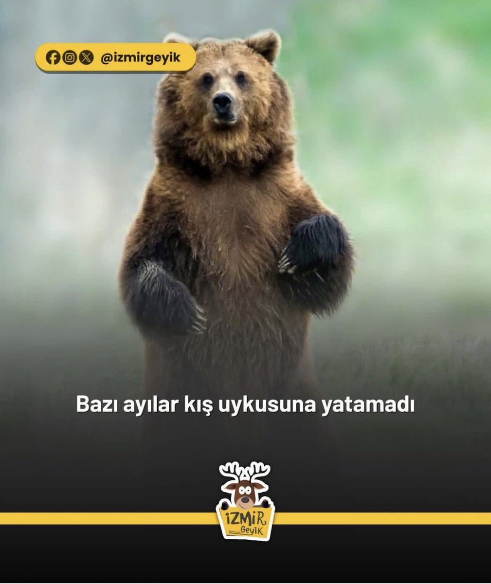 benimki karı kız ekliyor o yüzden