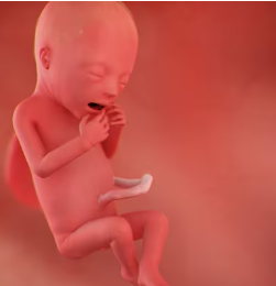 Et samfund burde på måles på, hvordan det behandler sine svageste borgere.
I Danmark tillader vi et brutal mord på vores Aller svageste medborgere: #dkpol #dkmedier