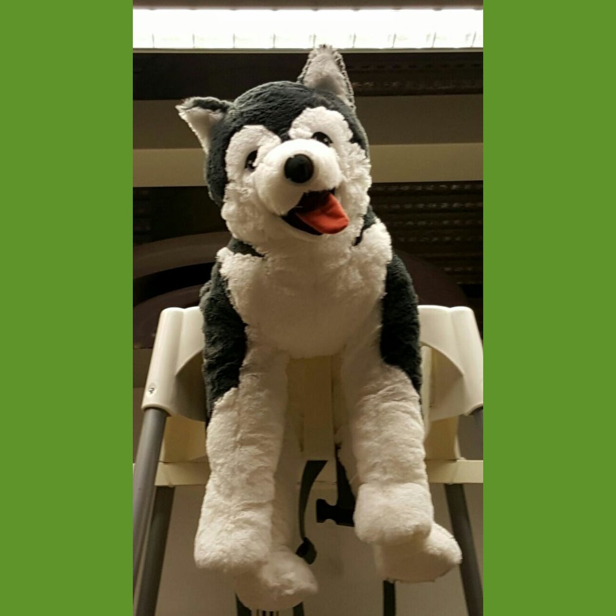 TTricksterFox's tweet image. Having A Nice Time!

🎅 🎄🎆🎇🎊✨🎉❄⚡💨✨🔥🌈⛄ 

#Yule #Tree #Pagan #YuleTide #Krampus #Krampusnacht #MerryKrampusnacht #merryyulemas #merryyule #happyyule2025 #happyyule #heathen #heathenry #jul #jól #Óðinn #happynewyear2026 #TheTricksterFox