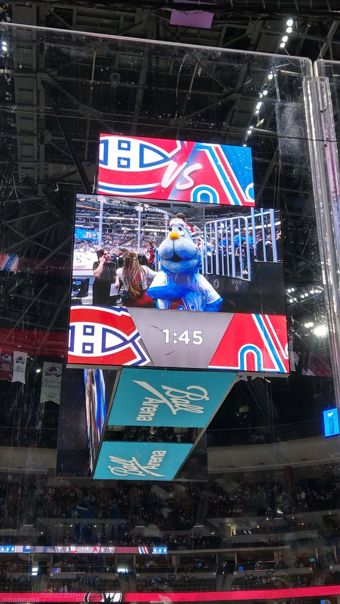 burgundyreview's tweet image. Do not adjust your picture.

That is not @AvsBernie.

That is Badaboum, the mascot of the Quebec Nordiques, here live @ballarenadenver for his (Hers? Theirs? Its?) first regular season appearance in over thirty years!

Now that&apos;s embracing the Quebec heritage!

#GoAvsGo