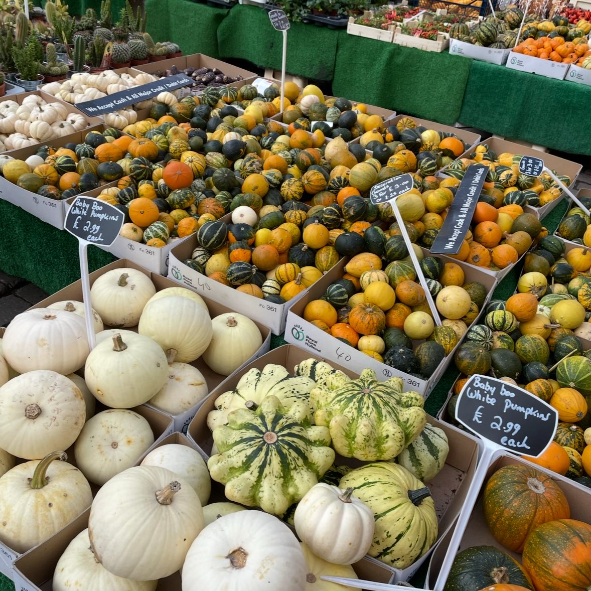 notesofsage's tweet image. walked 12km in york! one of the prettiest cities i’ve been to