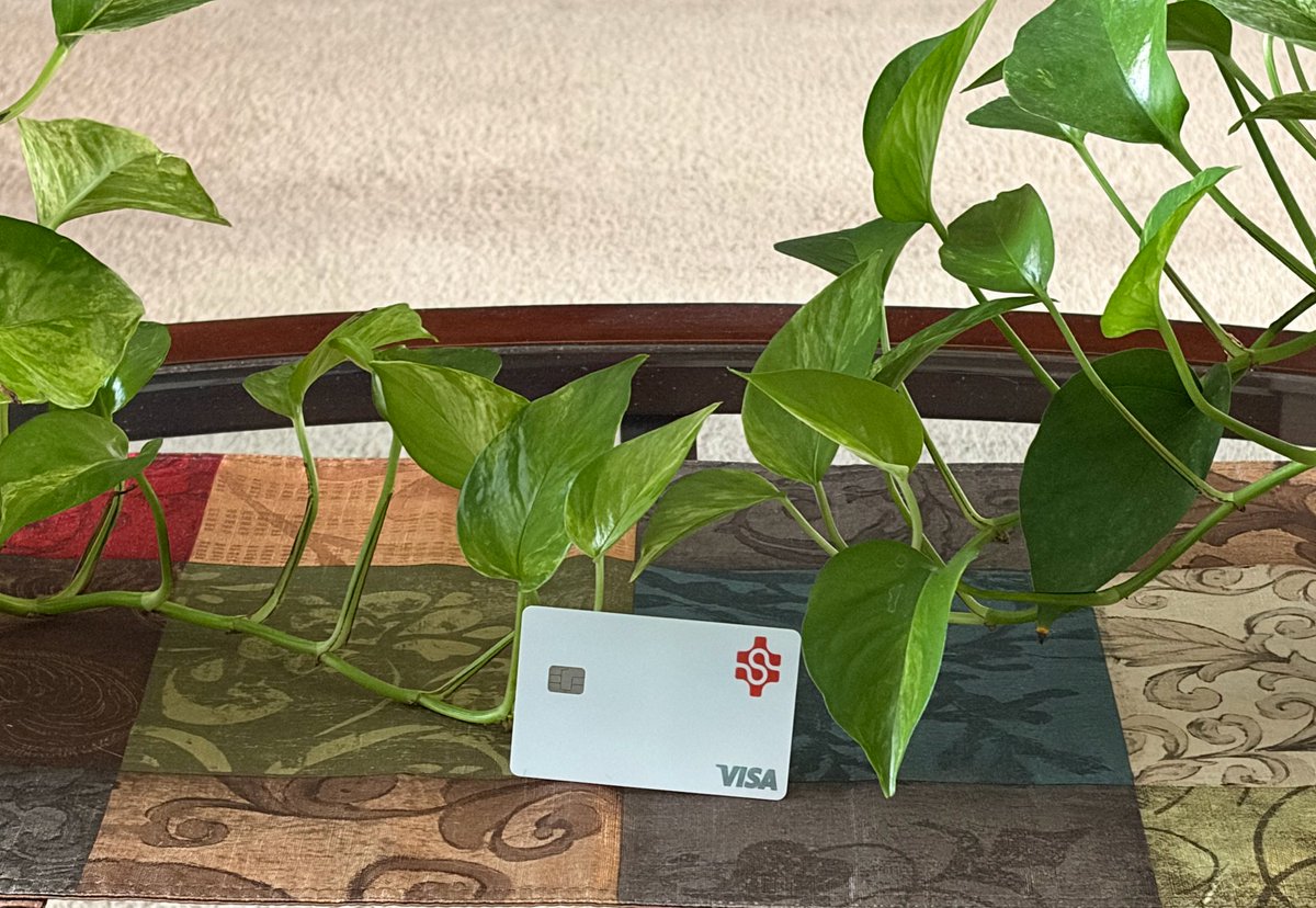 cydereyes's tweet image. Let your crypto work for you — naturally.
@spritzfinance  makes it simple to turn CRYPTO into everyday spending.
Ease, growth, and freedom. 🍃✨