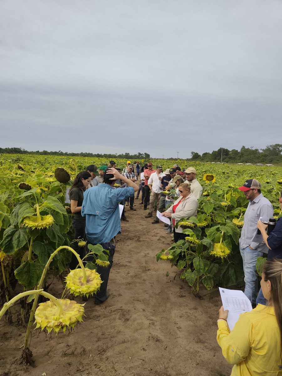 Recorrida de ECR Girasol, Región Chaco-Santiago. Excelente jornada de intercambio. Las Breñas, Chaco.
