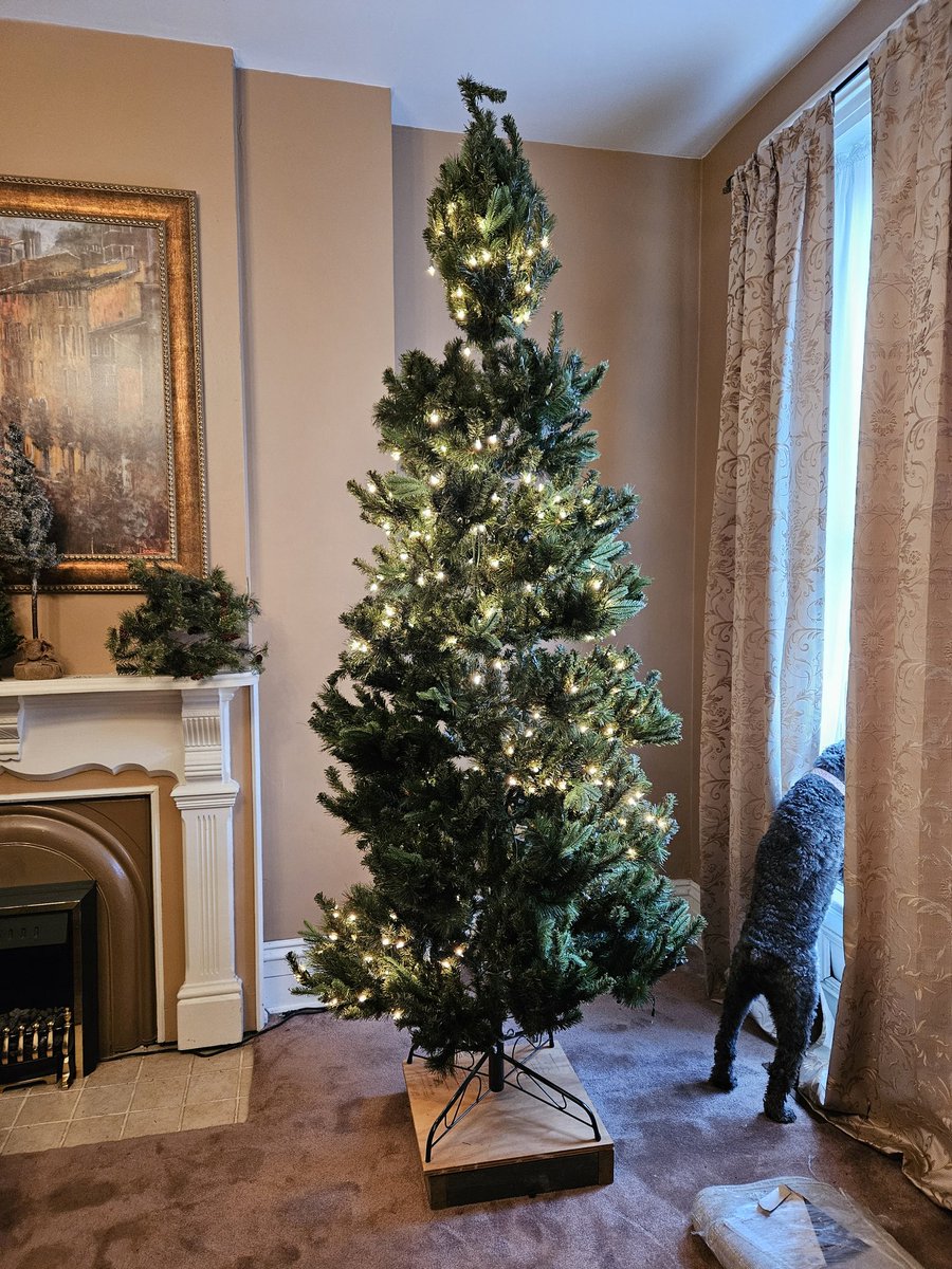SHAK1150's tweet photo. Every tree today.......challenge accepted. https://t.co/B0kkDNNdHE