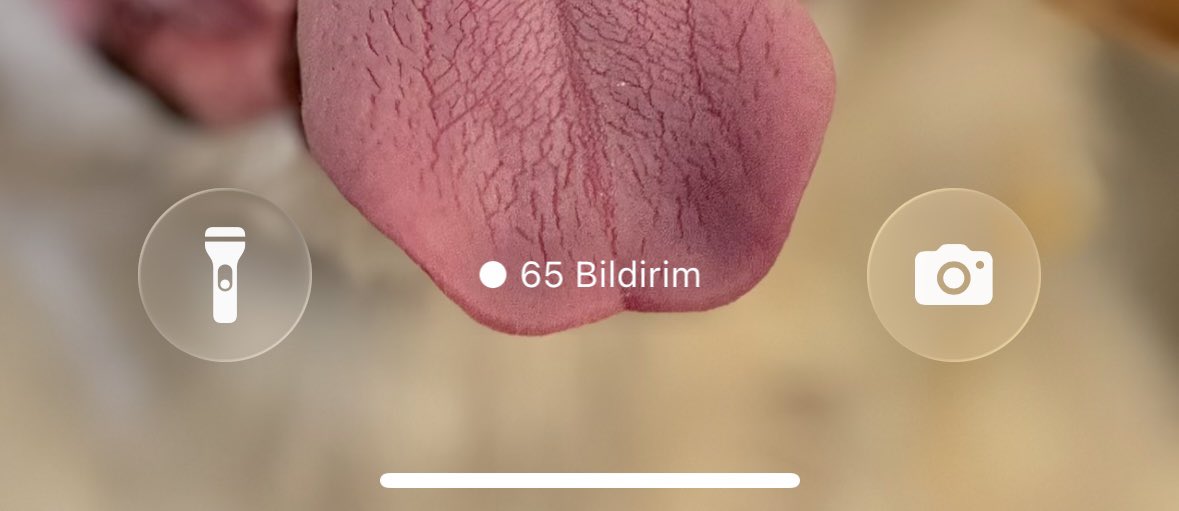 Telefona 1 saat bakmayınca ölmüşüm gibi tepki vermeyi ne zaman bırakırsınız tahmini