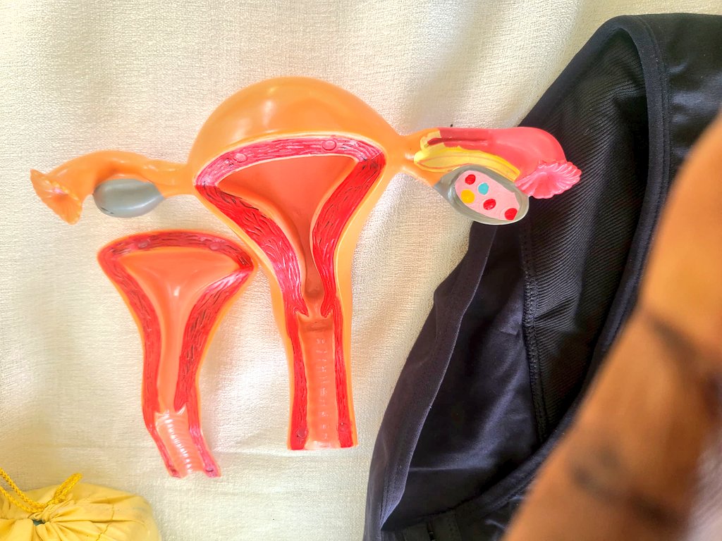 GirlsPrideGam's tweet image. An inspiring day at the Youth Sexual Health Festival organised by Project 21.

We showcased our SRHR innovations; from reusable pads,  period underwear to 3D models of the female reproductive system, and the Funneh Board Game.

We remain committed to championing Youth SRH in 🇬🇲.