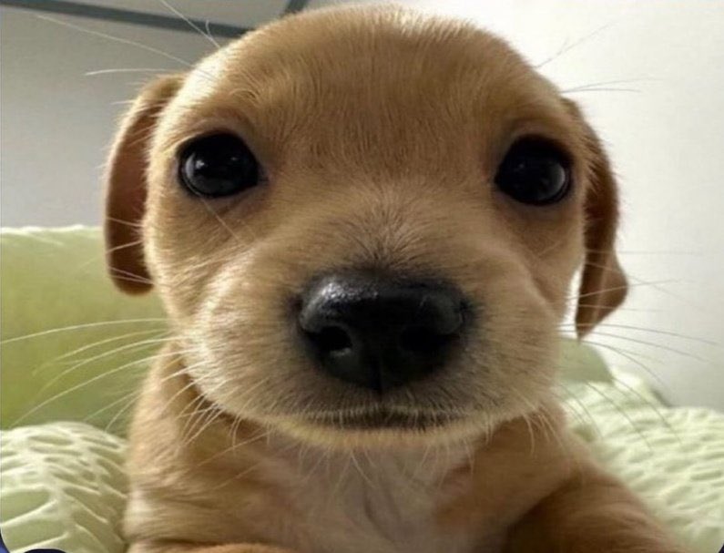 I’m looking as best I can