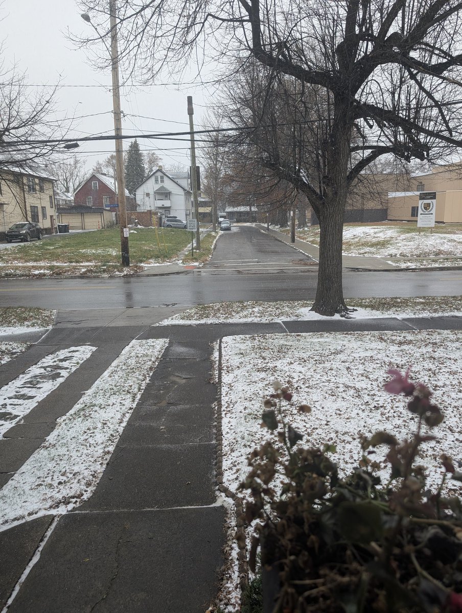 CalebPerryWorld's tweet image. Went from this ... to this in no time. That was Thanksgiving