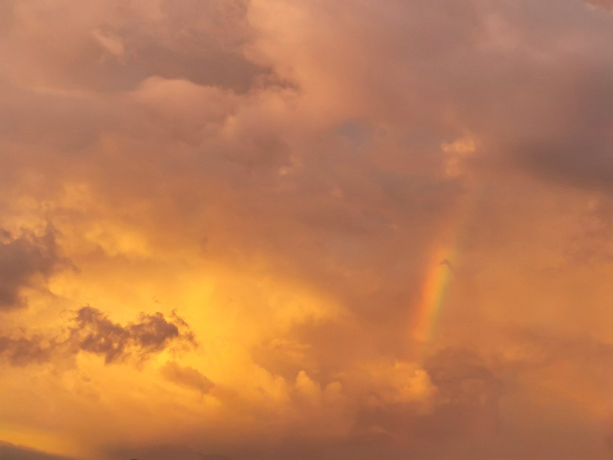 نبيه (@mohamednabih72) on Twitter photo 