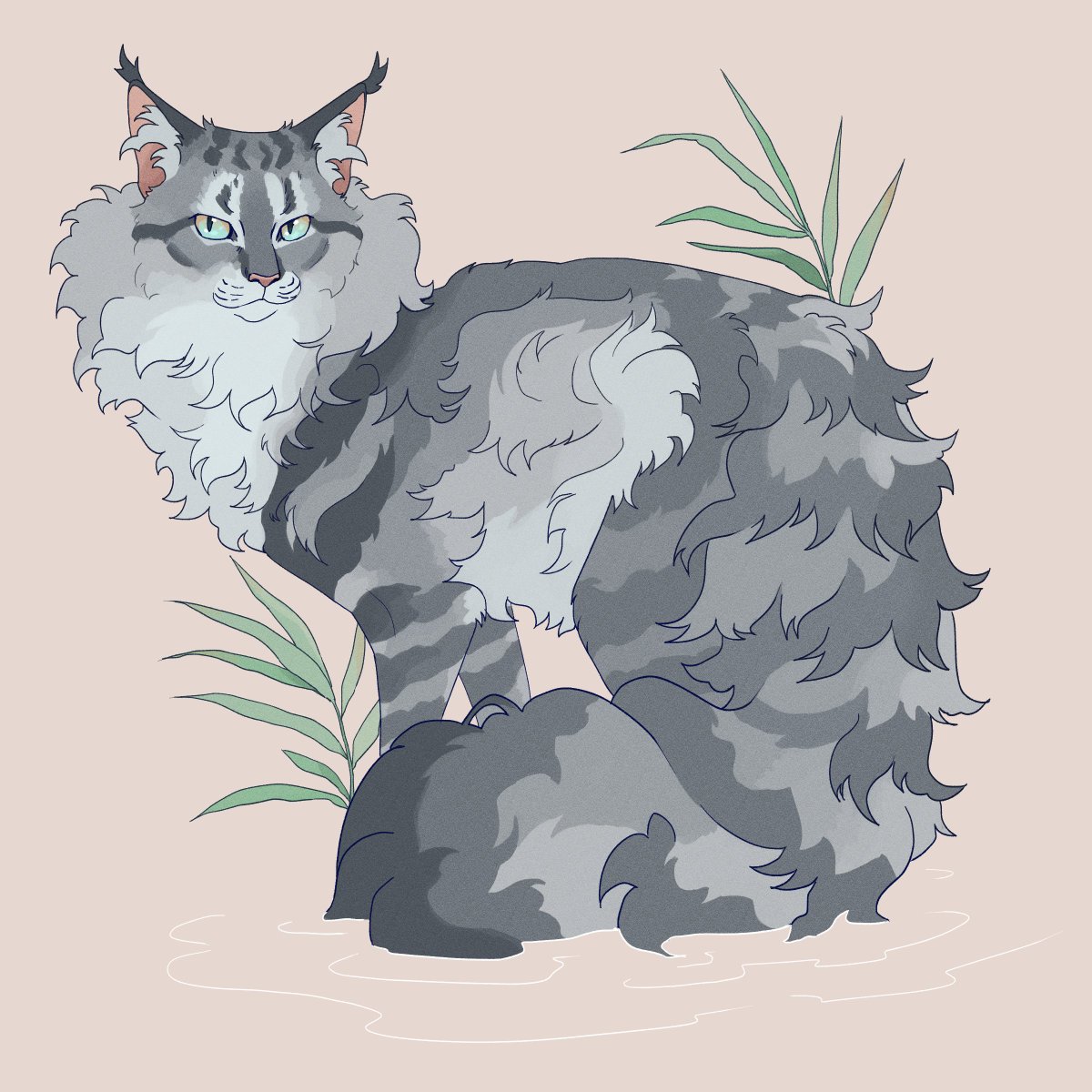 Harriertail tweet media