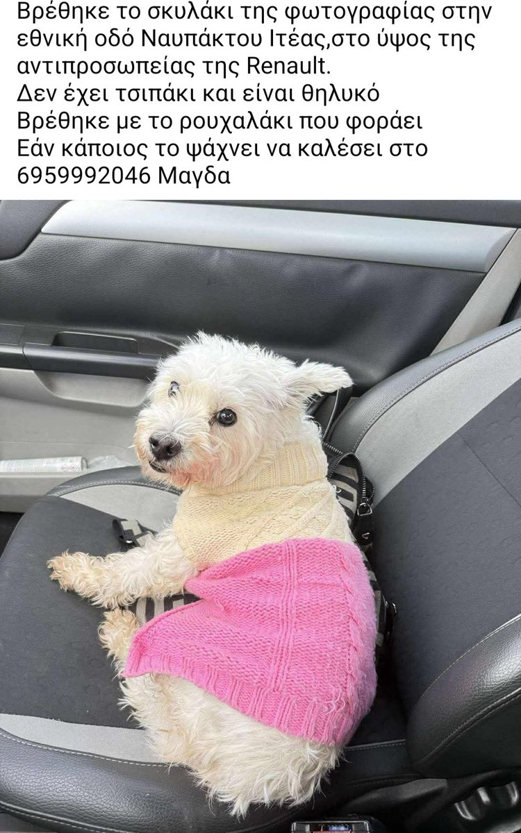 KatKatPt's tweet image. 🆘️🆘️🆘️
Βρέθηκε στην εθνική οδό Ναυπάκτου Ιτέας στο ύψος της αντιπροσωπείας της Renault,με το ρουχαλακι της φώτο,δν έχει τσιπ
Εάν κάποιος ψάχνει τη σκυλίτσα να καλέσει στο τηλ
Rt 🙏 🙏 🙏