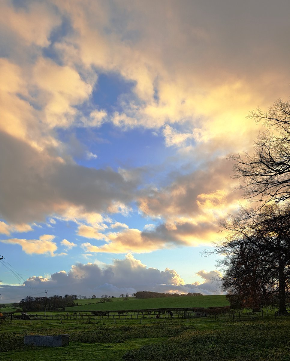 Looking south this afternoon whilst walking Tess, just before we were soaked in a downpour. #Dorset