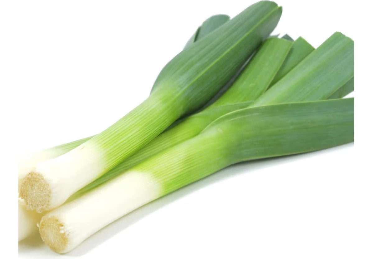 Jane Rose-Land tweet media