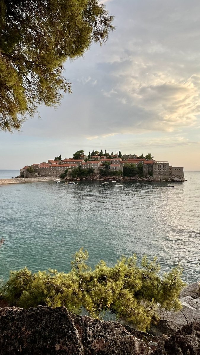 𝔻𝕠𝕞𝕚𝕟𝕚𝕢𝕦𝕖 𝕃𝕖𝕔𝕠𝕔𝕢 🌿 tweet media