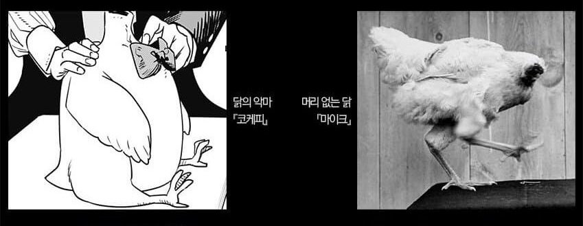 ElijahKaiVA's tweet photo. FUJIMOTO PLAGIARIZED A CHICKEN?! 😱😱😱😱😱

SOMEONE HANG HIM!!! https://t.co/qDRz1kxRvd