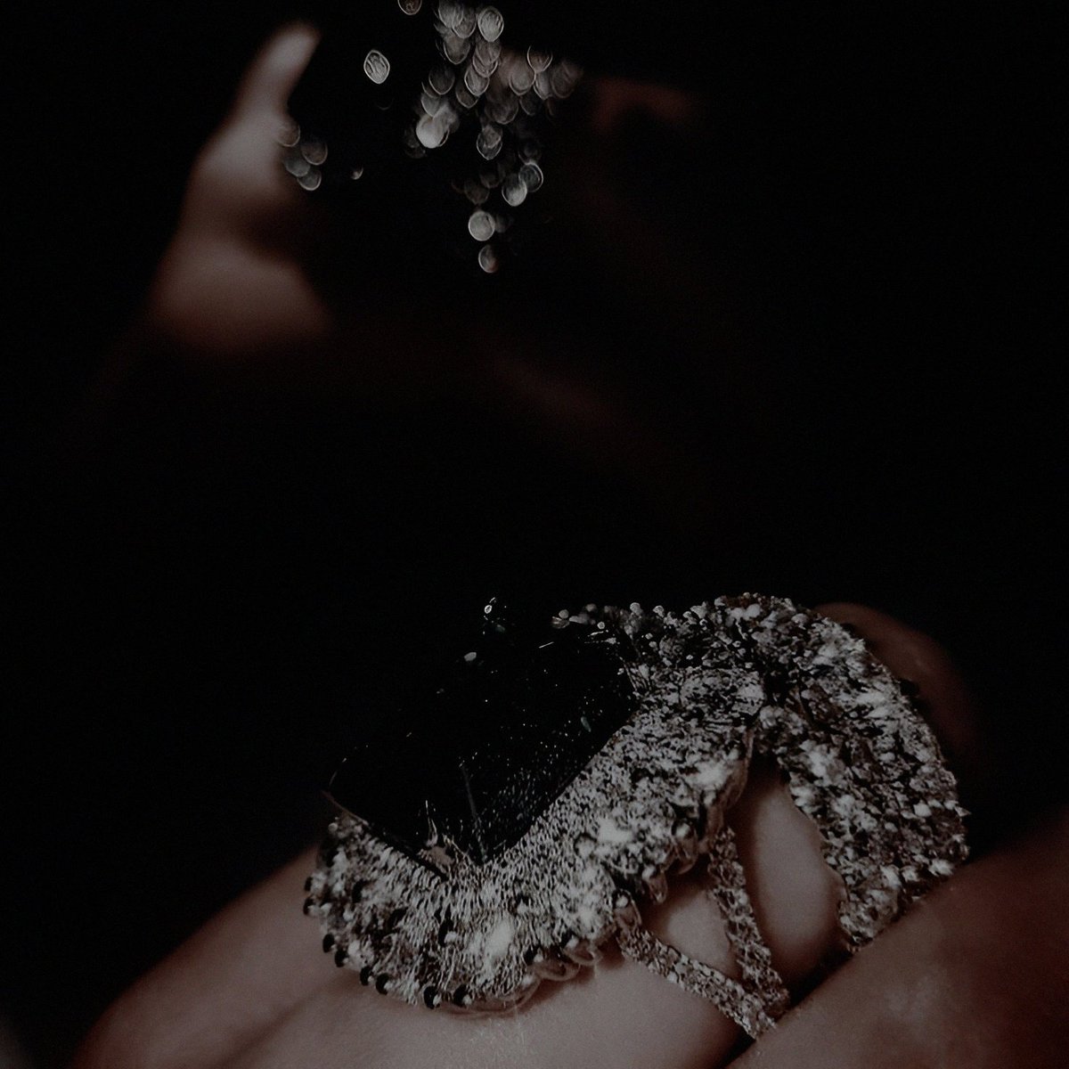 ᅠ ᅠ ᅠ ᅠ ᅠ ٬٬ᅠᅠ 𝓵𝒚𝒔𝒂ᅠ ᅠ𝓶𝒂𝒍𝒍𝒊𝒔𝒕𝒆𝒓ᅠ . tweet media