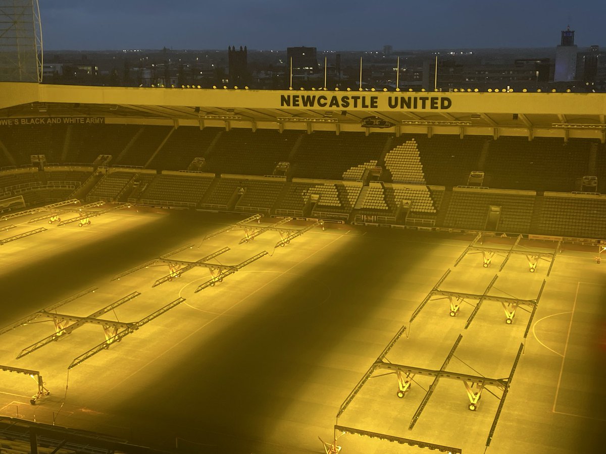 Tricking the St. James’ grass in to thinking it’s in Dubai 🌞