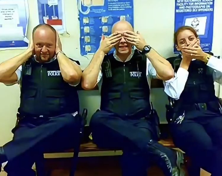 Paultheblue tweet media