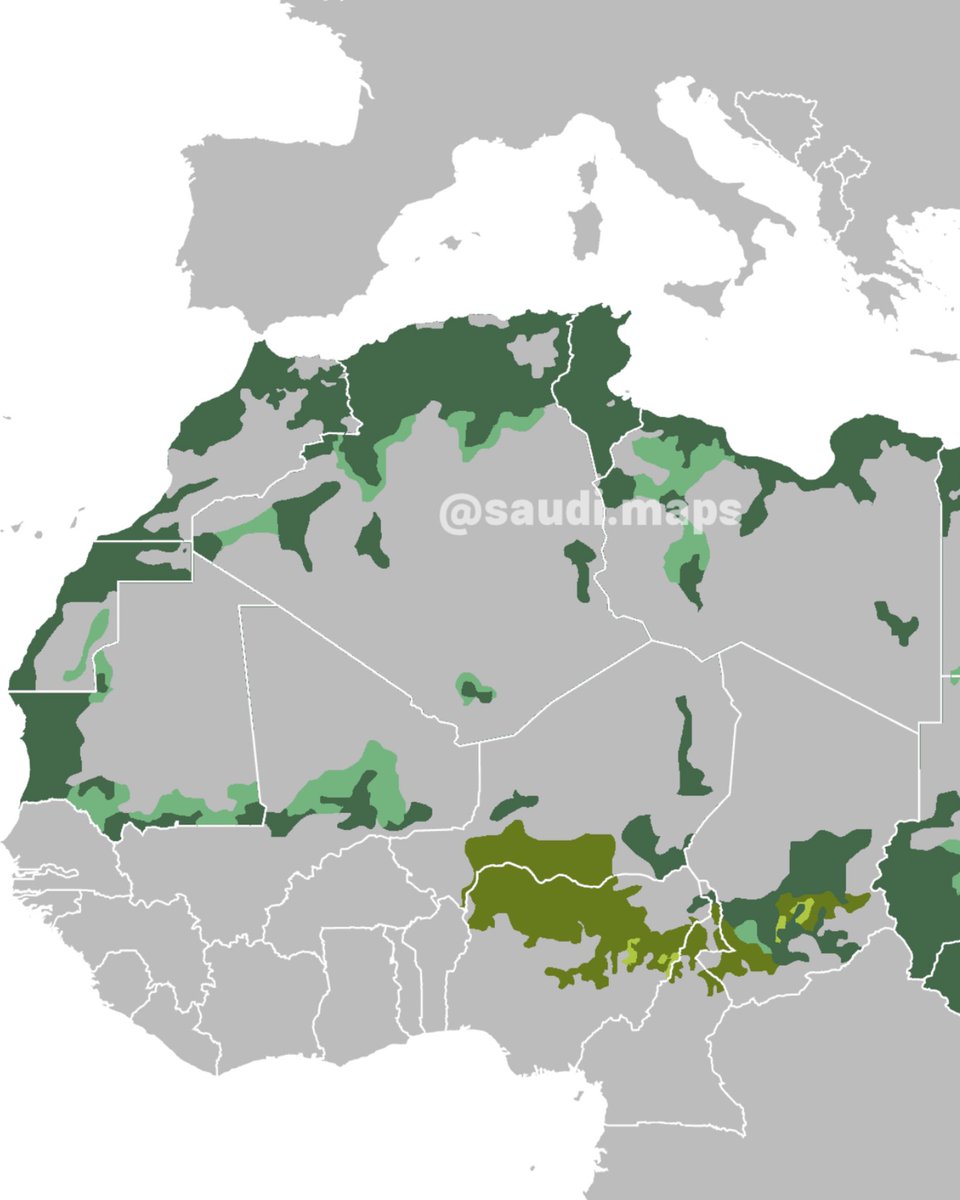 خرائط بالعربية tweet media