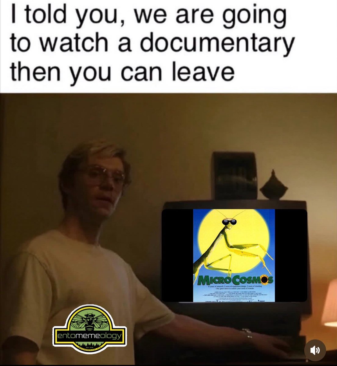 Entomemeology (@entomemeology) on Twitter photo 