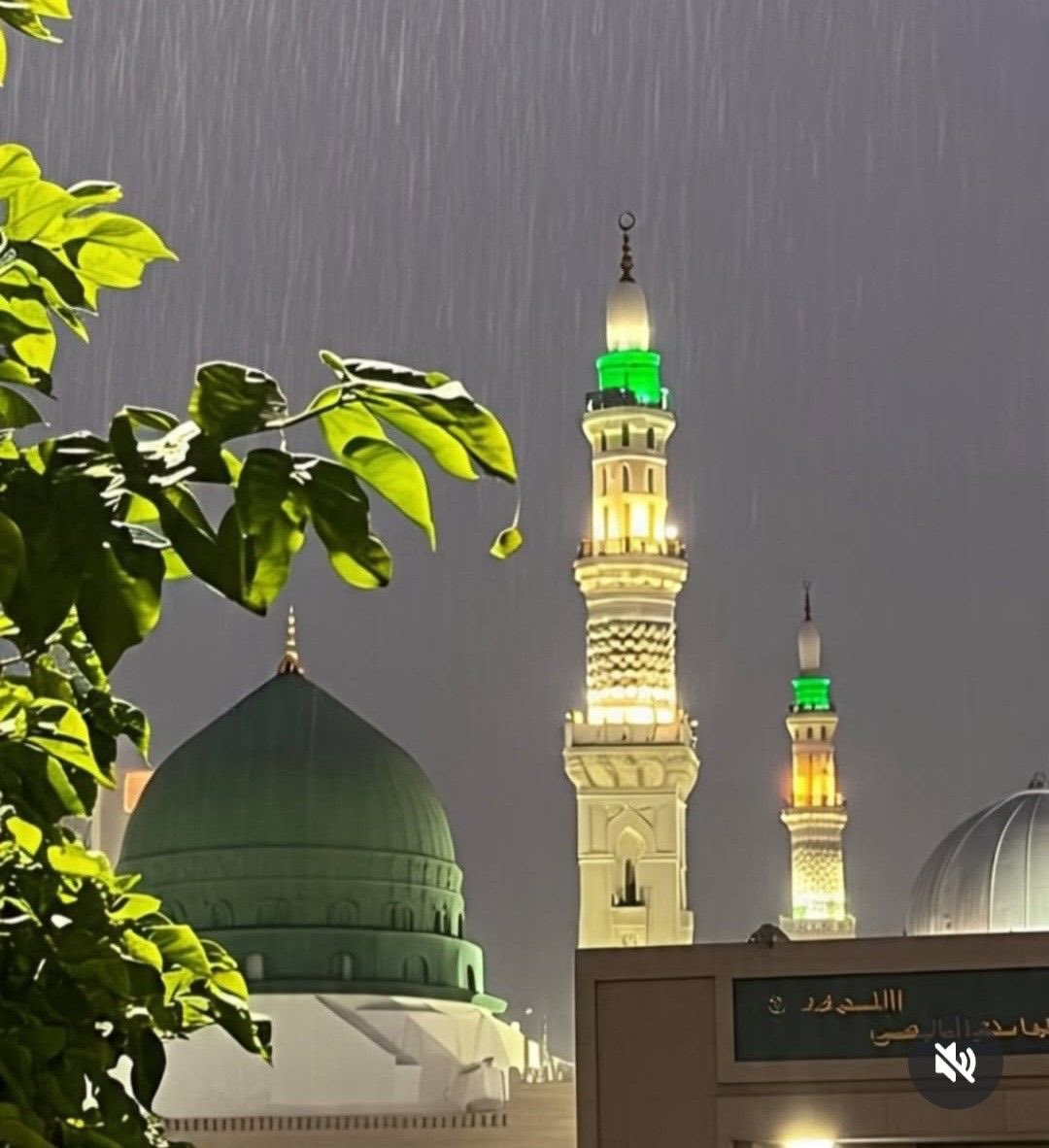 كان جِسمُ النبيِّ ﷺ كُلُّهُ نُورًا ولُطْفًا وعِطْرًا، 
جَمالًا لا يُمكِنُ أن يَبلُغَ الخَلْقُ مِثالَه. 🌹❤️