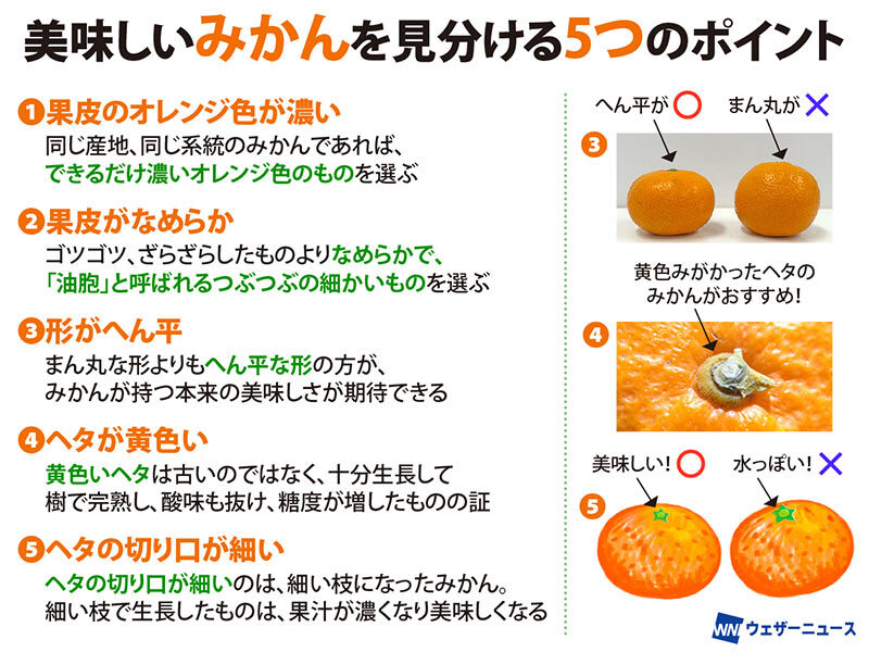 美味しいみかんの見分け方🍊＞ ビタミンCが豊富で風邪予防にも効果が