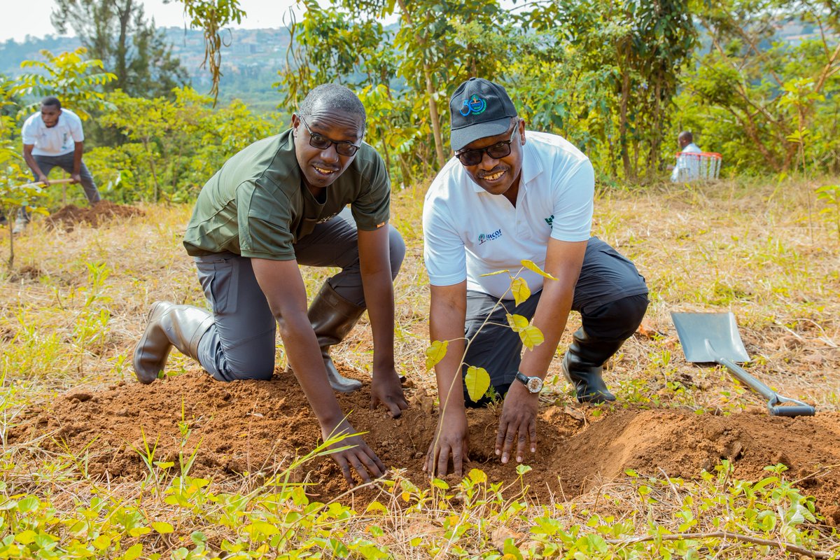 ARCOS Network tweet media