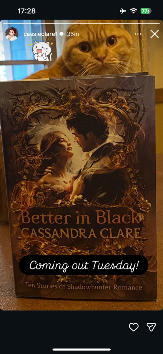 🚨 cassandra clare has confirmed that will herondale and tessa gray are coming out on tuesday

happy pride will and tessa!