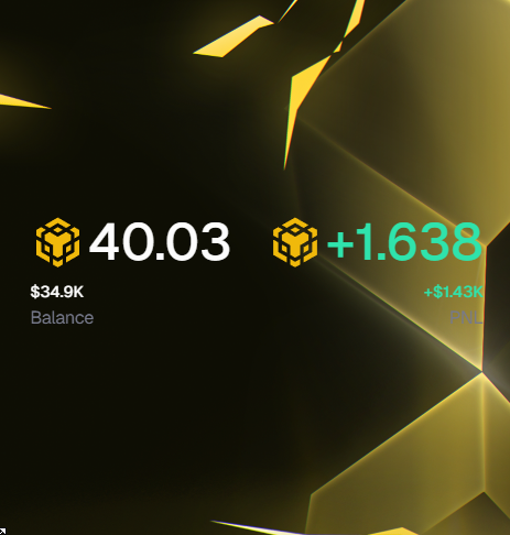 0 - 1 Million USD Challenge   
Day 33    
+195 SOL  
+1.6 BNB         
$573,000/$1,000,000 Overall 
Contrary to popular opinion I did not extract on the runner, I missed it
