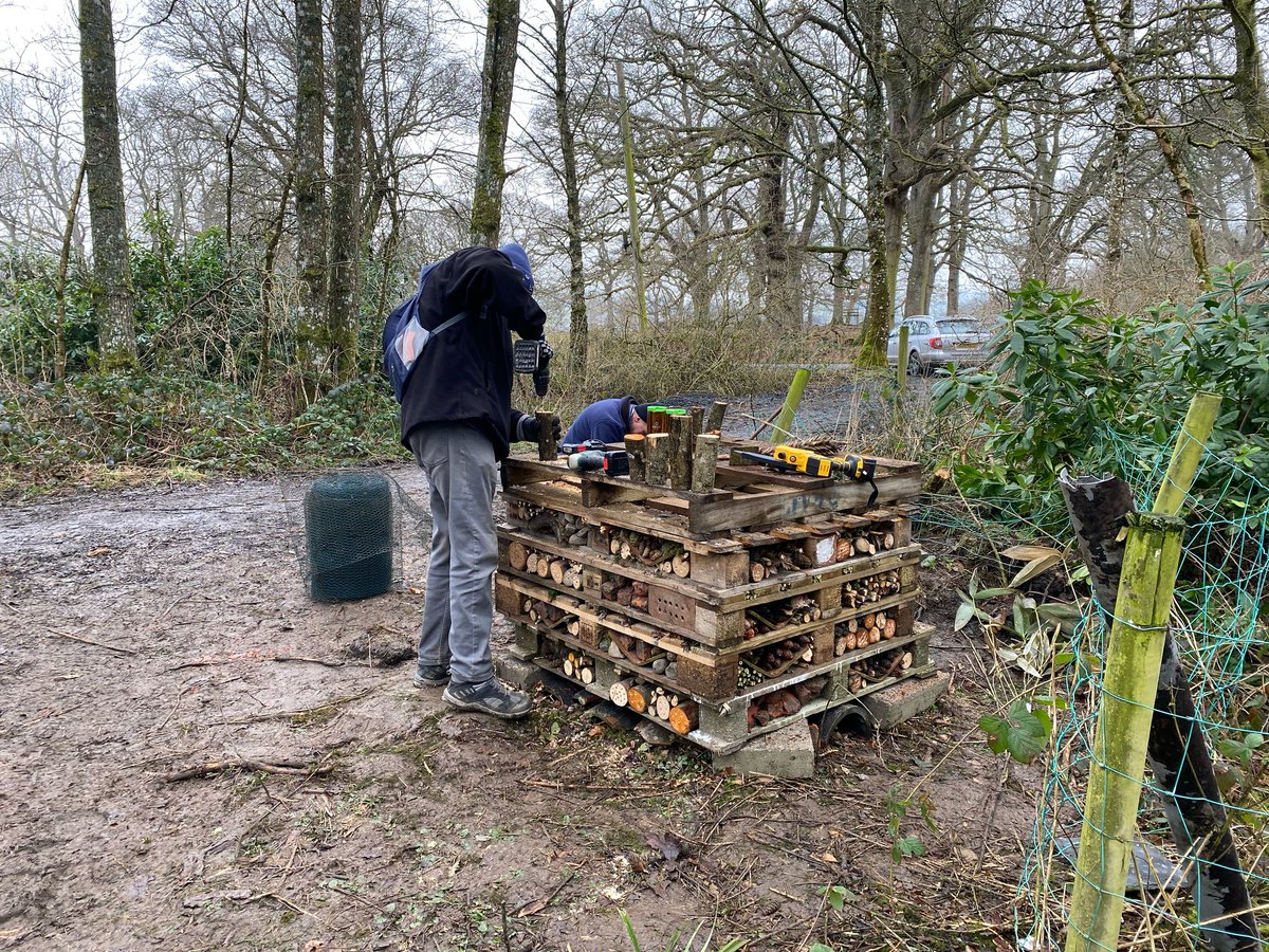 MontWildlife's tweet image. At Gregynog we help manage a small group of enthusiastic volunteers as part of the #WelcomeHometoNature partnership project at this wonderful #NationalNatureReserve. If you are interested in joining email lowri@montwt.co.uk for more details.

#NatureNetwork #RhwydweithiauNatur