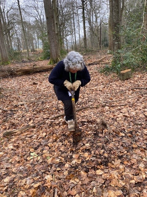 MontWildlife's tweet image. At Gregynog we help manage a small group of enthusiastic volunteers as part of the #WelcomeHometoNature partnership project at this wonderful #NationalNatureReserve. If you are interested in joining email lowri@montwt.co.uk for more details.

#NatureNetwork #RhwydweithiauNatur