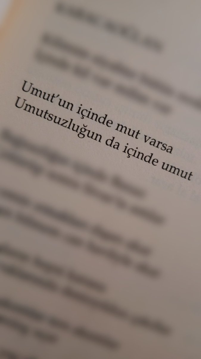 Sema Nur Alpay tweet media