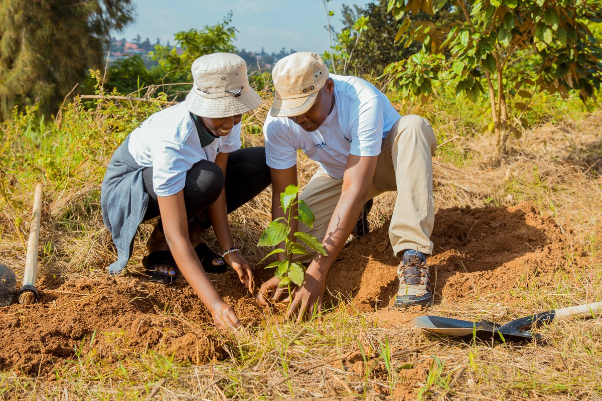 ARCOS Network tweet media