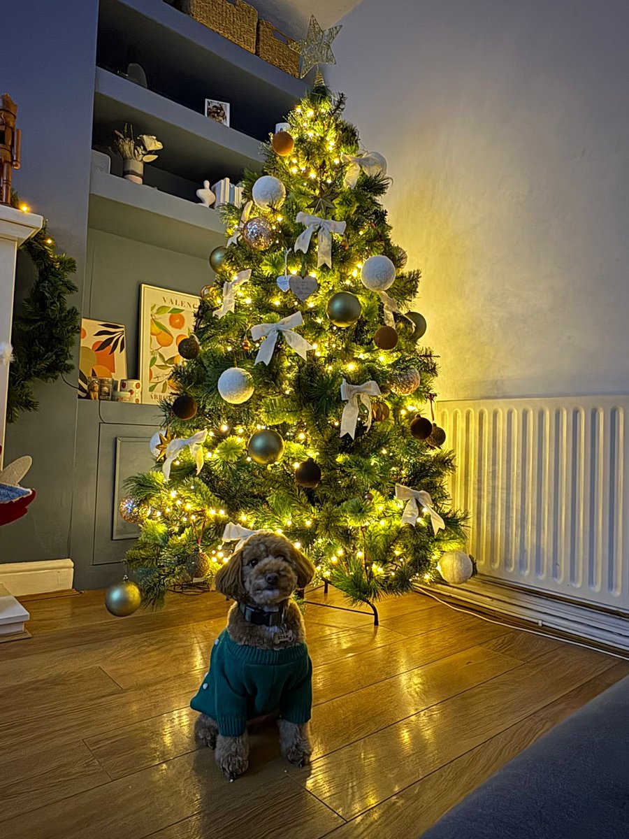 AdamAtk20365097's tweet image. Step Into Xmas 

#xmas
#decorations
#pooch