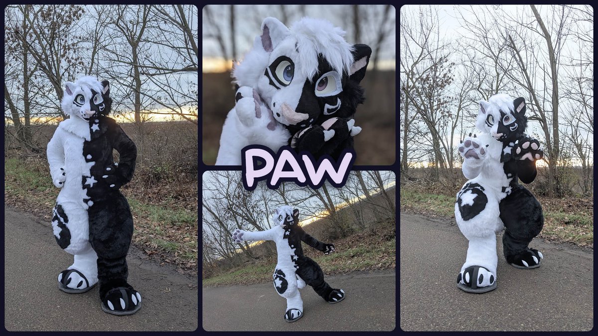 Say hello to Paw, my second ever fursuit! This is a personal suit of one of my OCs 🌟🐱