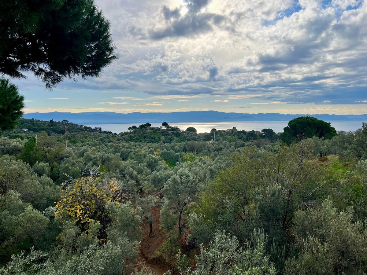 ‘İlk kez yüzünü gördüğüm viyolonistimin kokusunu yanıma almış,bir mart soğunun koynuna oturmuştum.’ Kaz Dağı’nın kışı prova eden soğuk, yağışlı ve ışıksız gecesine; lirik, hissiyatı yoğun, melankolik, hüzünlü, aşık, içe devinimli, metaforik ve estetik  bir roman.

<a href="/hibrahimpolat/">Halil İbrahim Polat</a>