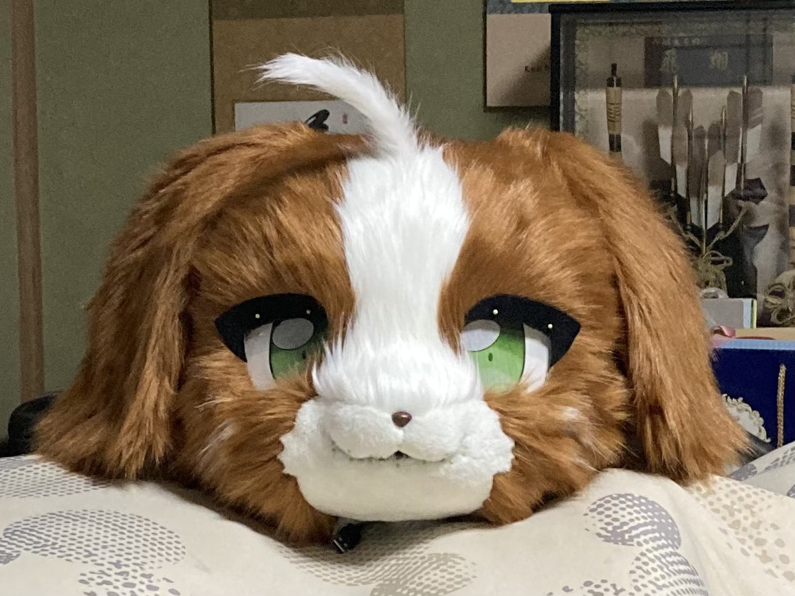 TamoPython's tweet image. ファーがなかなか被さらなくて焦った…
トリミング前でも結構かわいい（親バカ