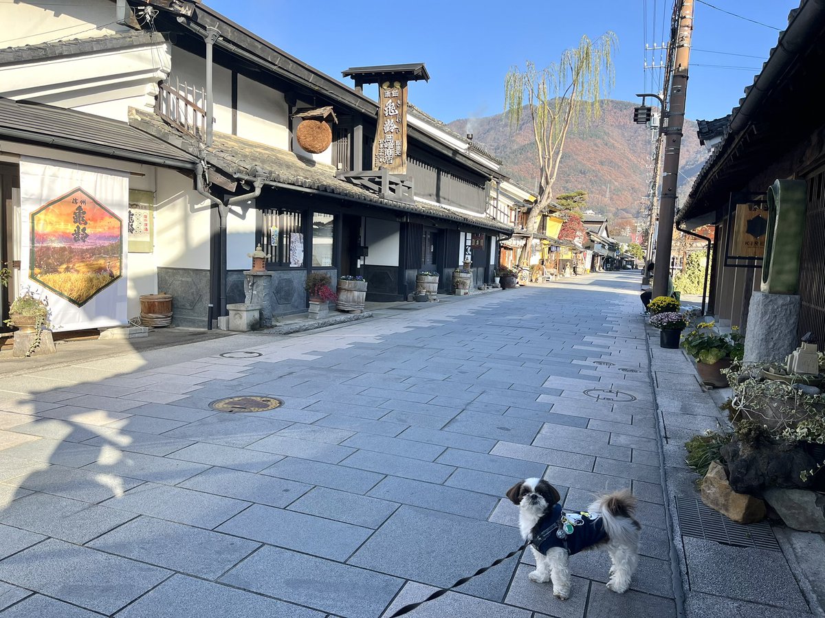 武田さち tweet media