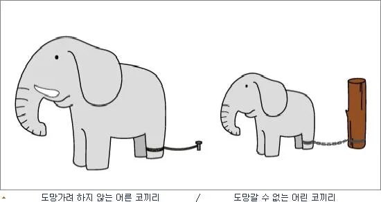 kimjjintae's tweet photo. 그것이 바로 학습된 무기력 .. https://t.co/y5EvLDDE7j