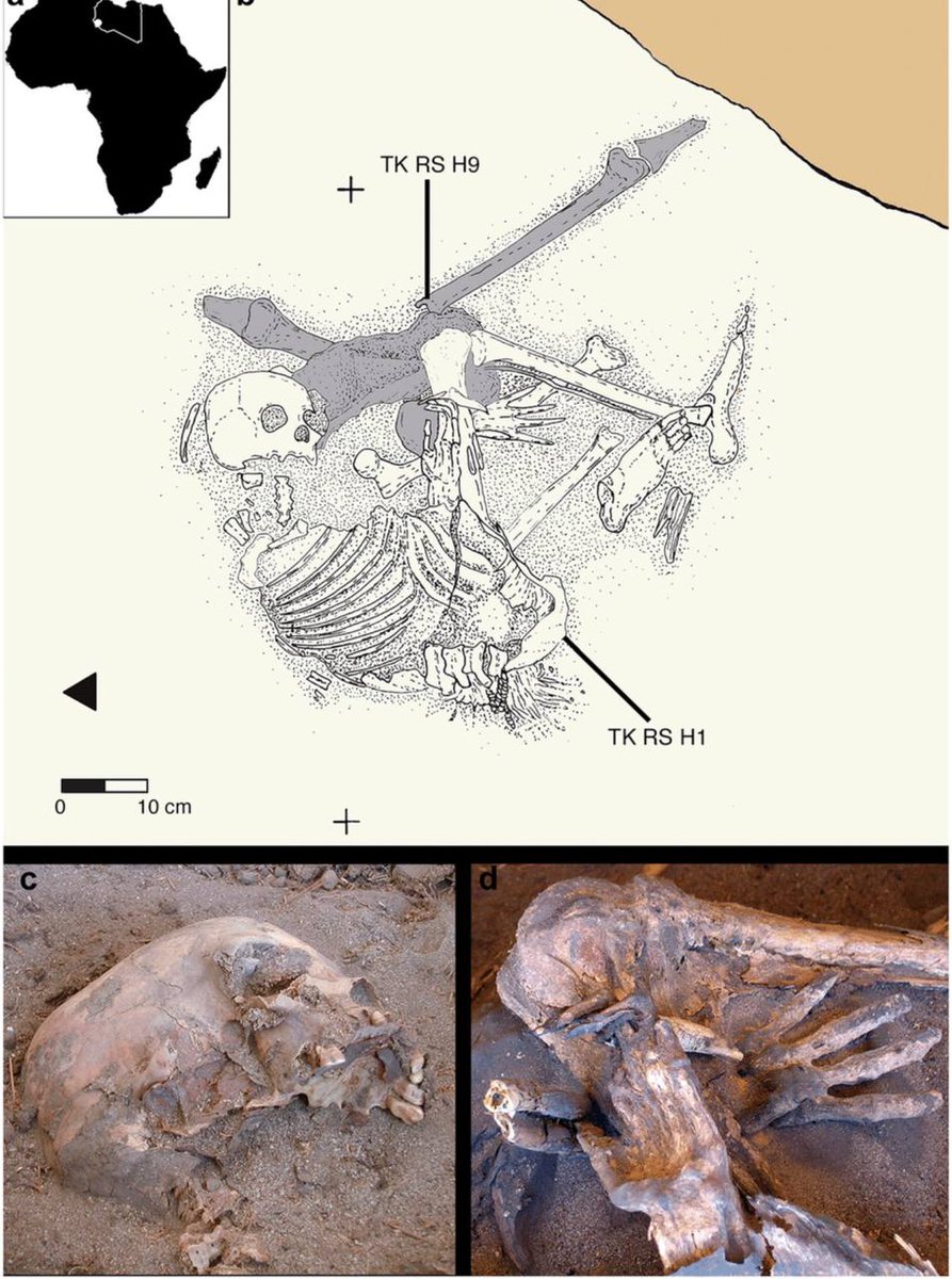 𝓐𝓛𝓩𝓸𝓫𝓮𝓲𝓭𝓲الزُّبَيْدِي tweet media