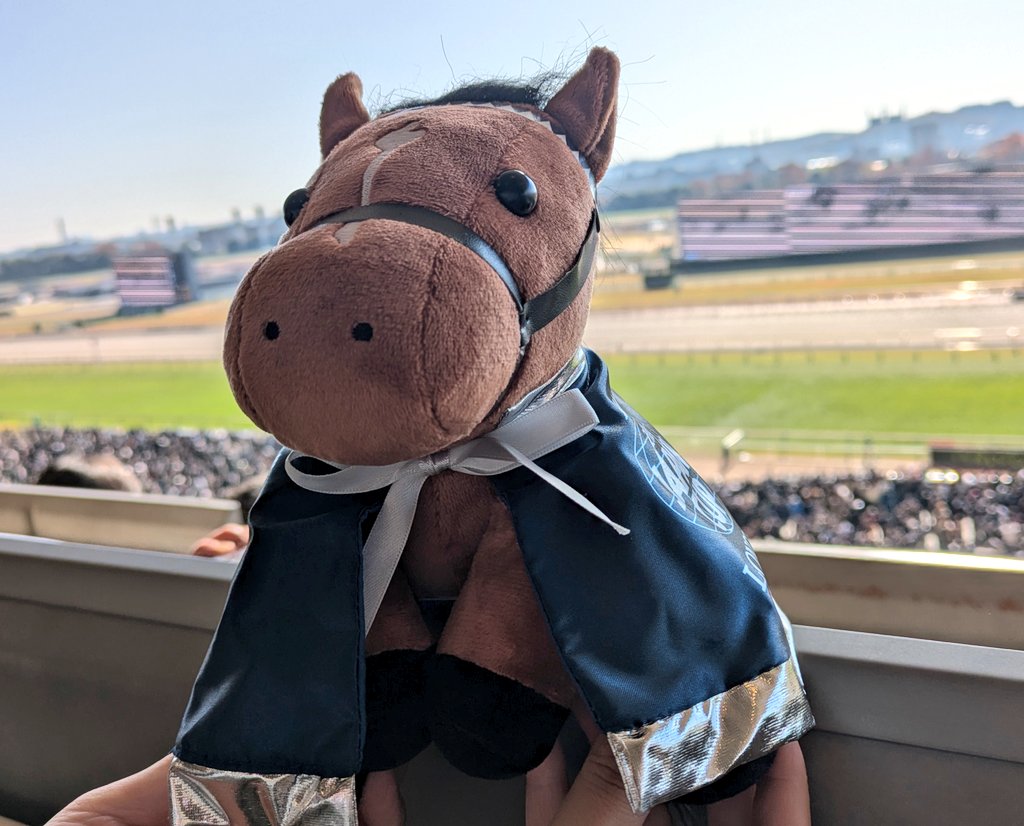 タオルとコースター付き2024 ジャパンカップ ドウデュース アイドル