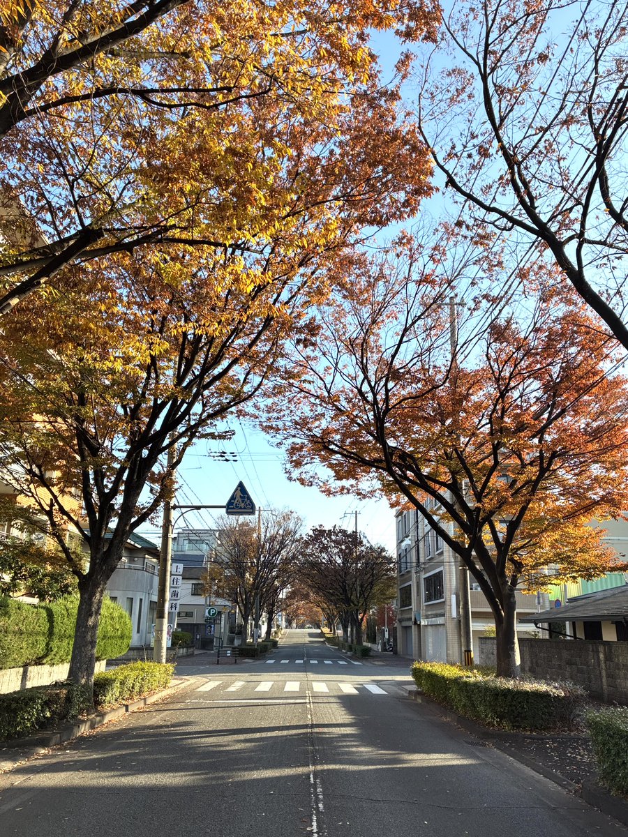 風文庫 tweet media