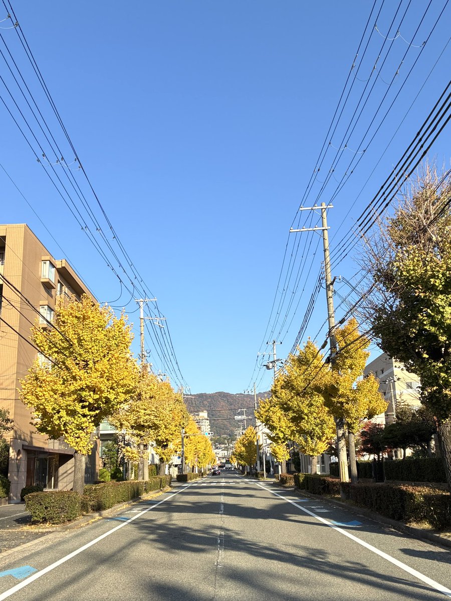 風文庫 tweet media