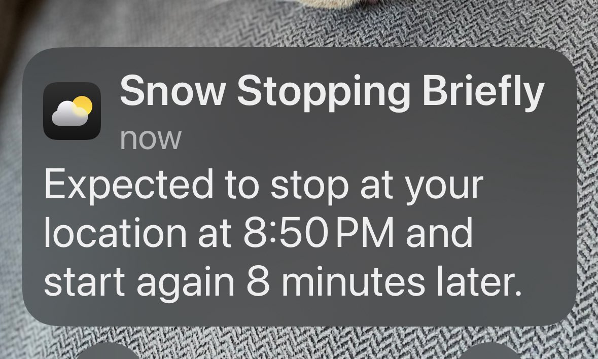 Sandra Vox tweet media