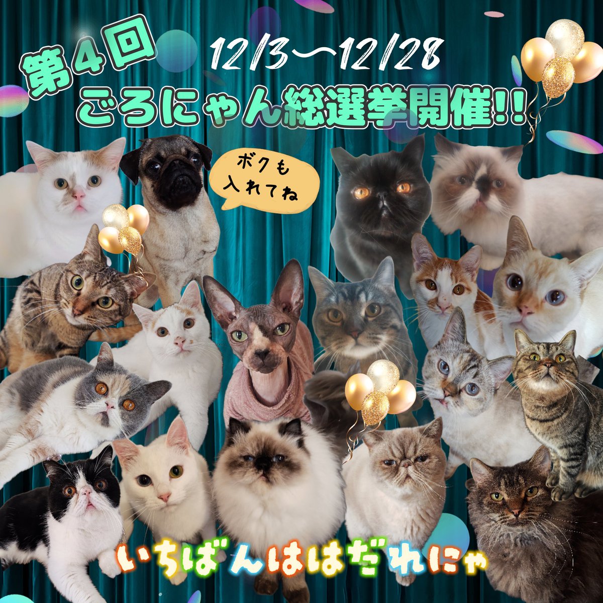 猫Cafeごろにゃん (@goronyans_y) / Posts / X