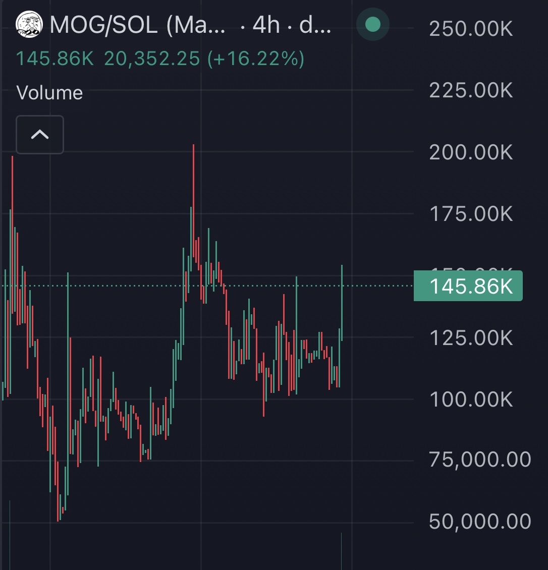 WinAllDay tweet media